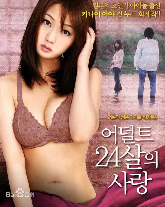 欧美AV无码国产精品无软件