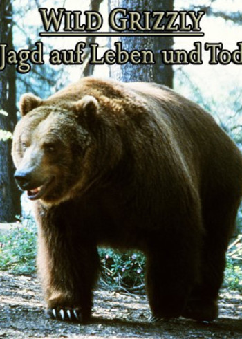 一本二本三本道高清视频